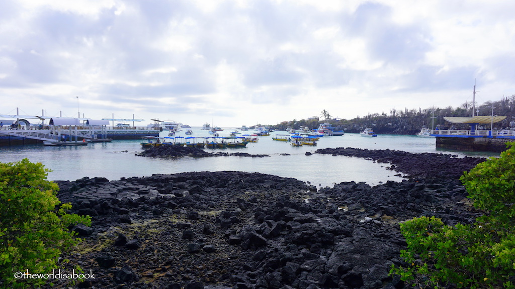 Galapagos Puerto Ayora harbor