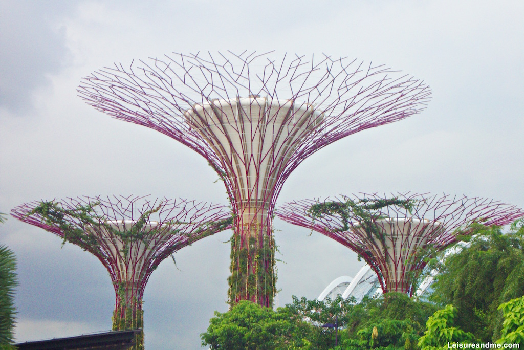 Gardens by the Bay