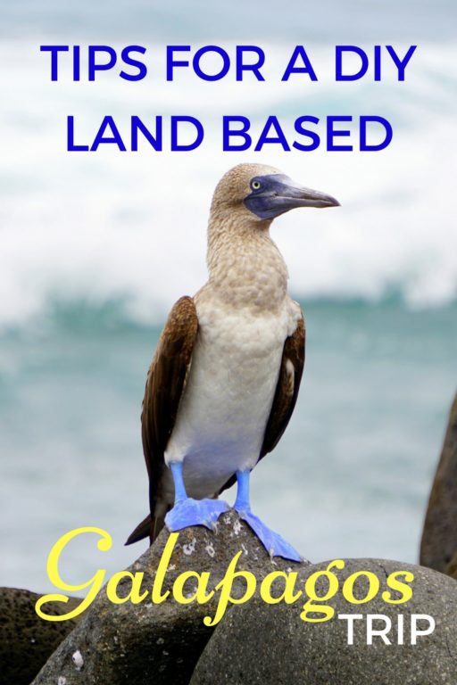 TIPS FOR LAND BASED GALAPAGOS