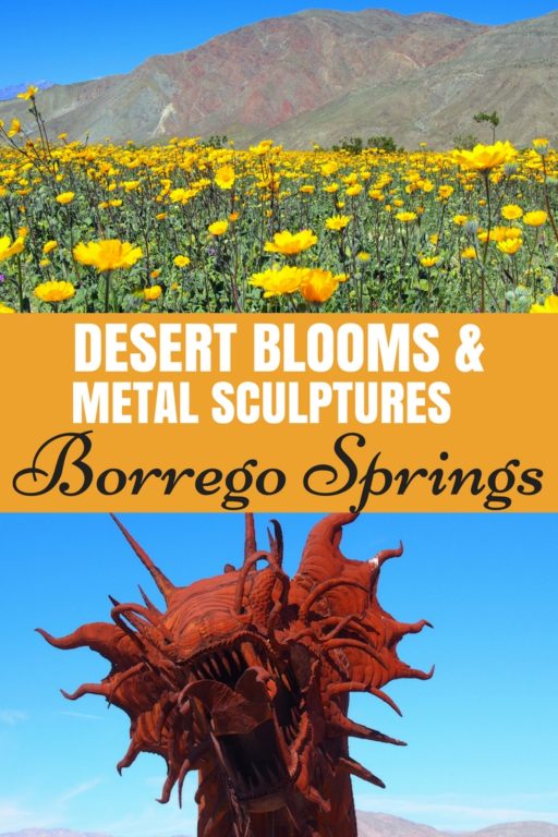 Desert Blooms & Metal Art Borrego Springs