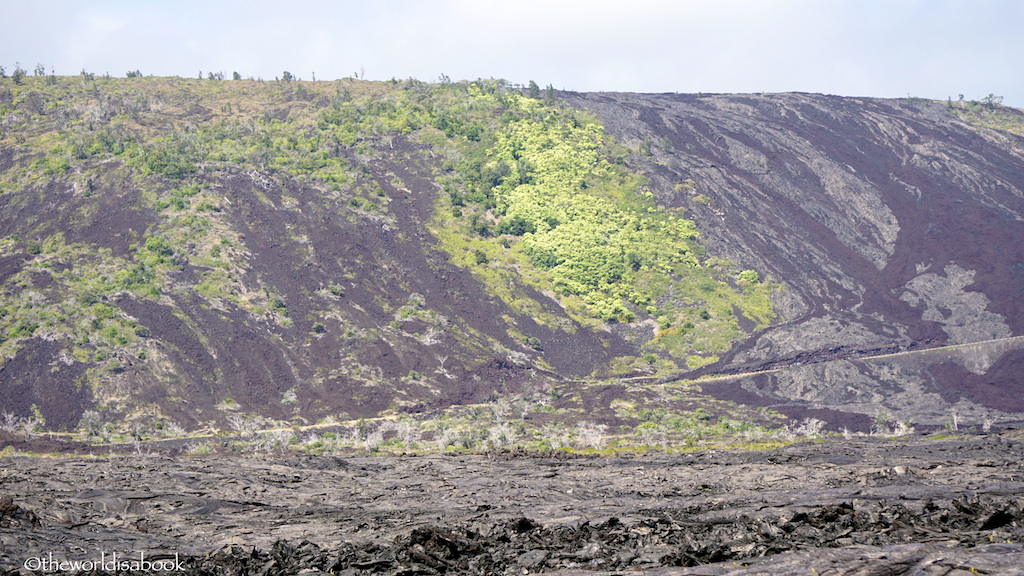 Volcanoes National Park Chain of Craters Road green