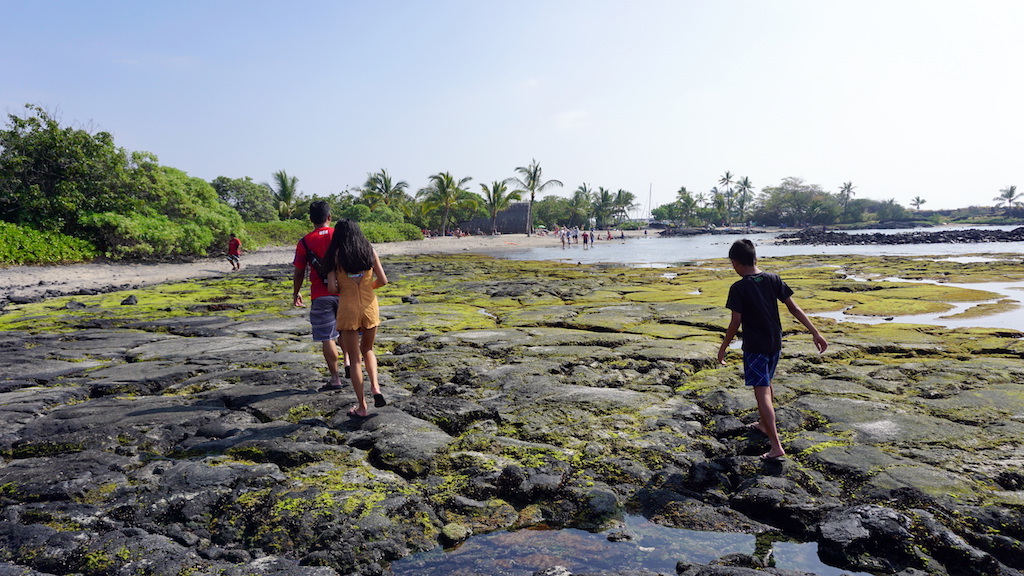 Kaloko Honokohau tide pools with kids