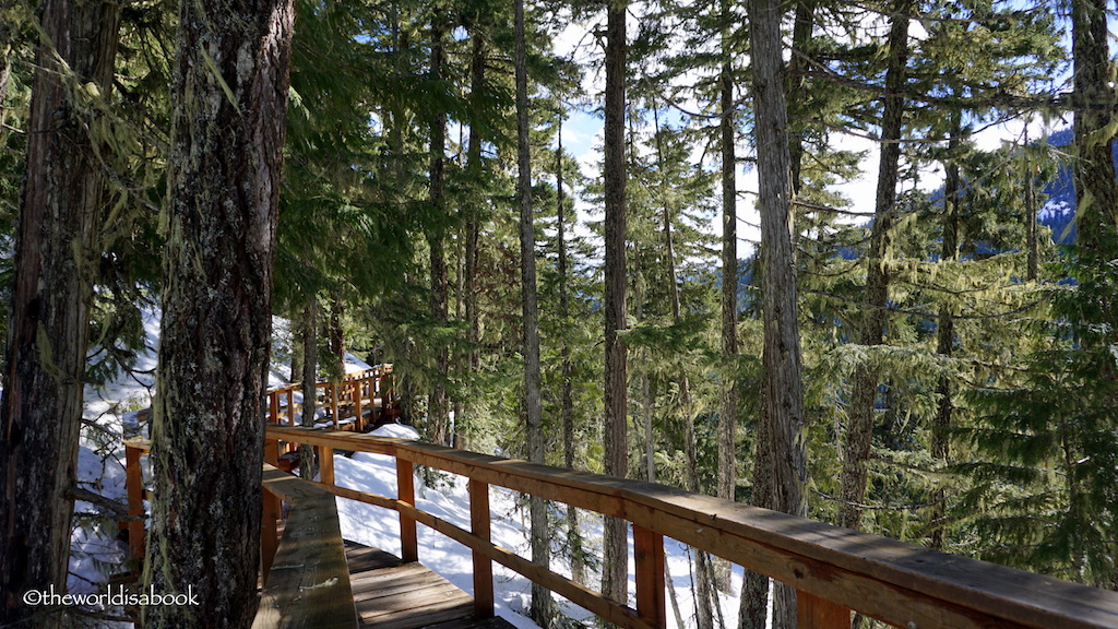 Superfly Zip line tree top pathways