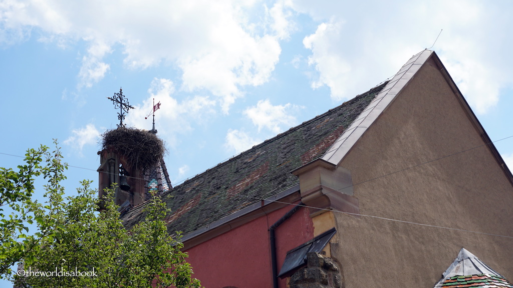 Eguisheim stork nest