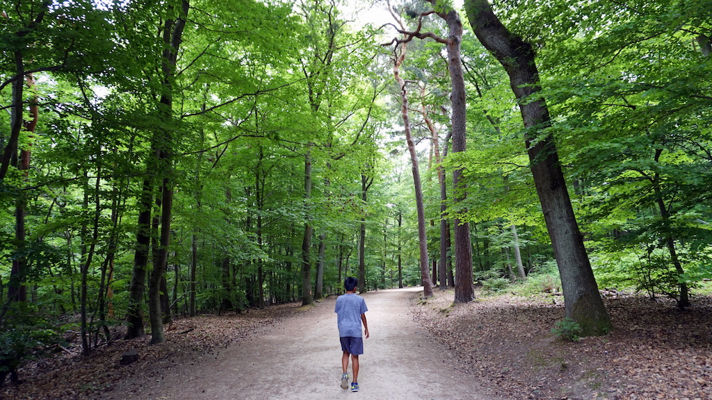 Niederwald landscape park