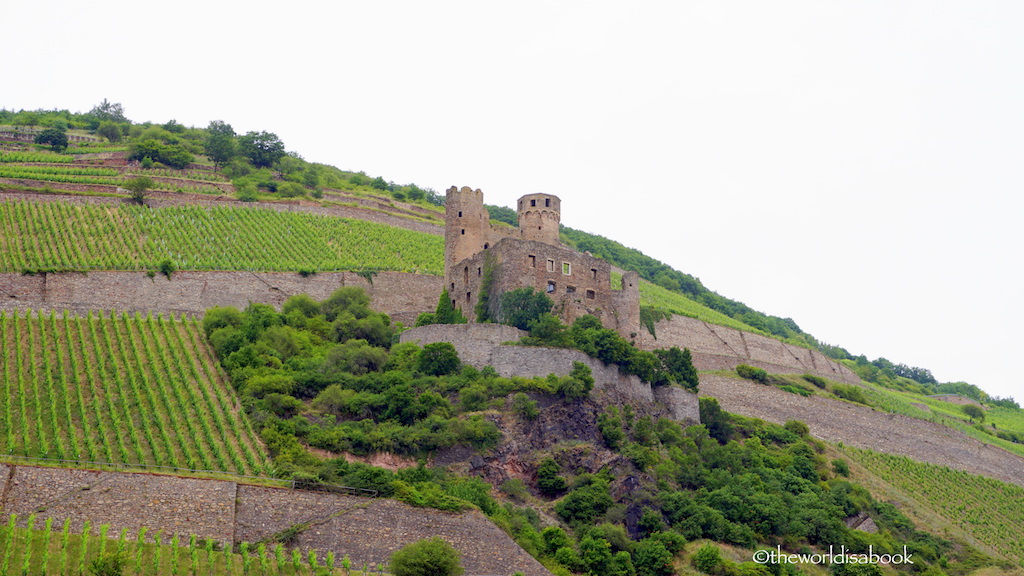 Rudesheim Rhine river castle