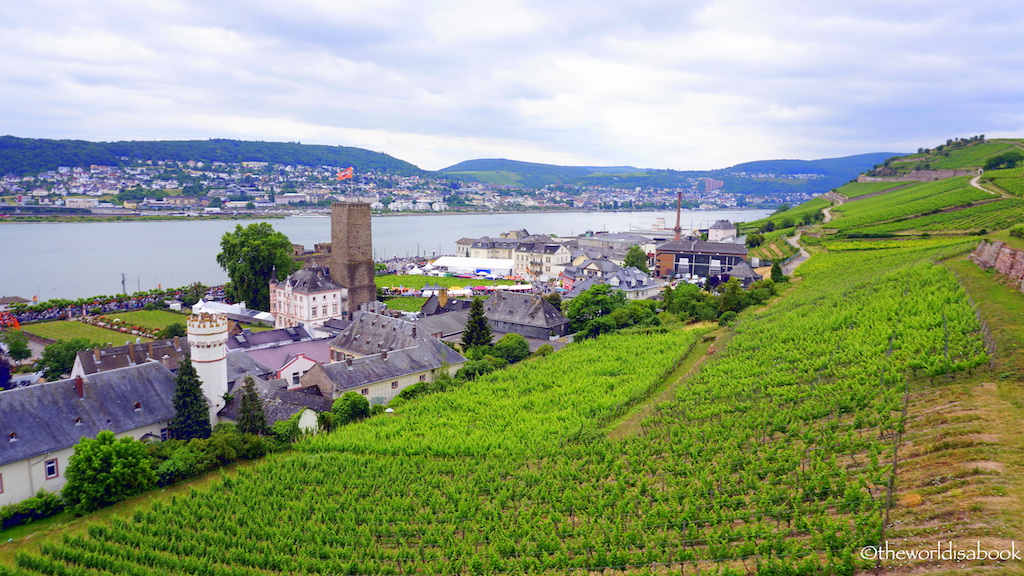 Rudesheim am Rhine Germany vineyards