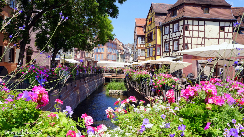 Alsace Colmar flowers