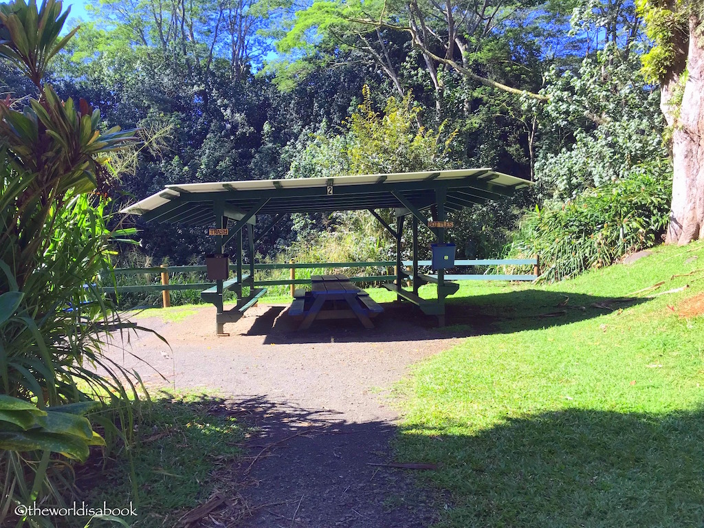 Kauai Backcountry adventures picnic spot