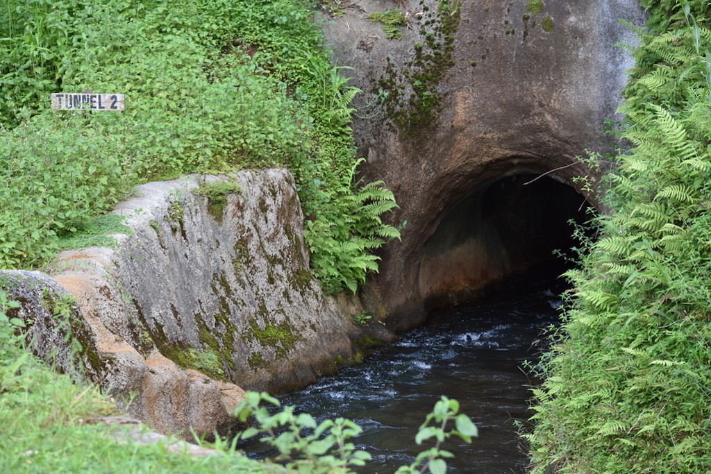 Kauai Tubing tunnel 