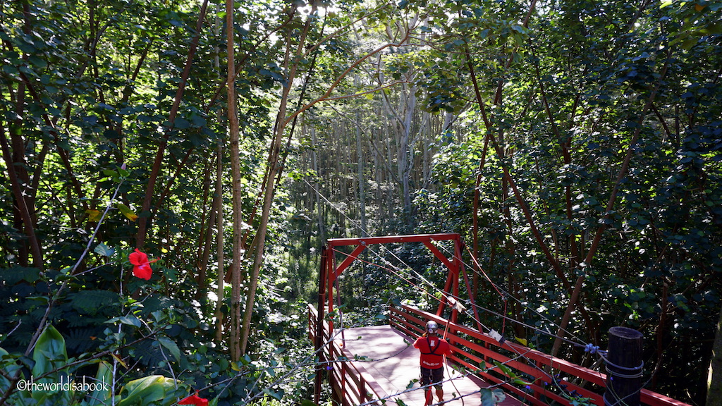 Koloa Zipline