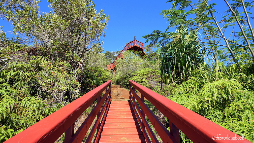 Koloa zip line platform