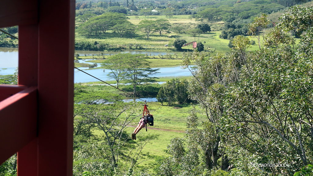 Koloa zip line with kids Kauai