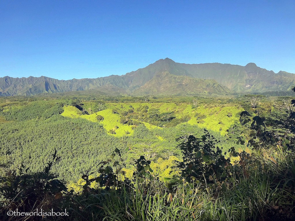 Mount Waialeale crater Kauai