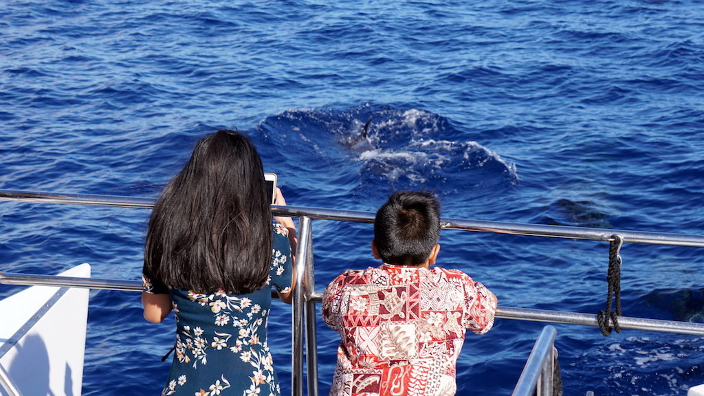 Kauai Sunset cruise with kids