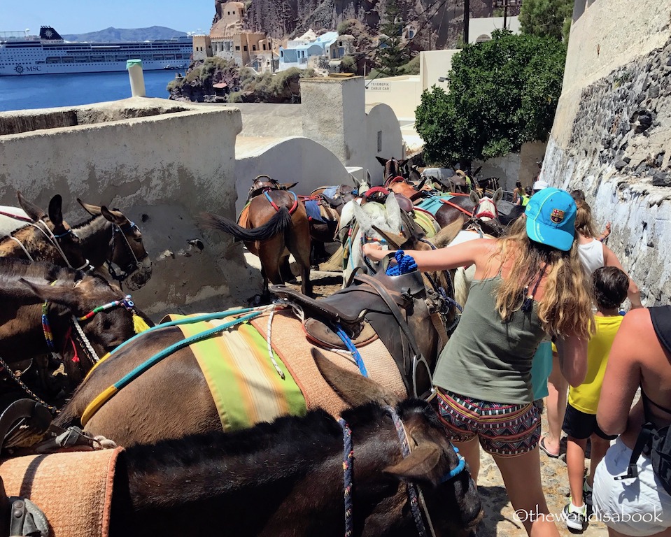 Santorini donkeys