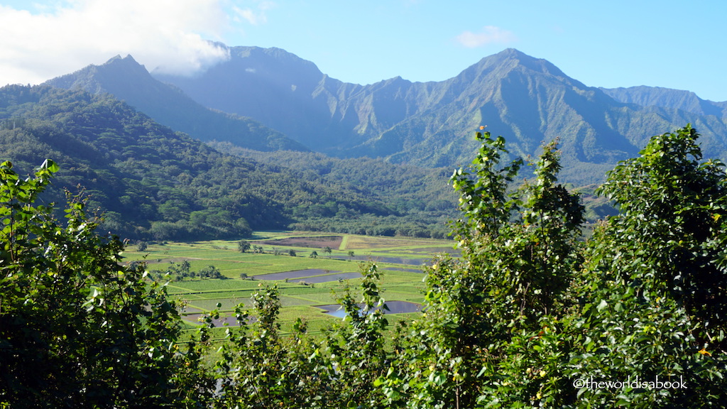 Hanalei Valley