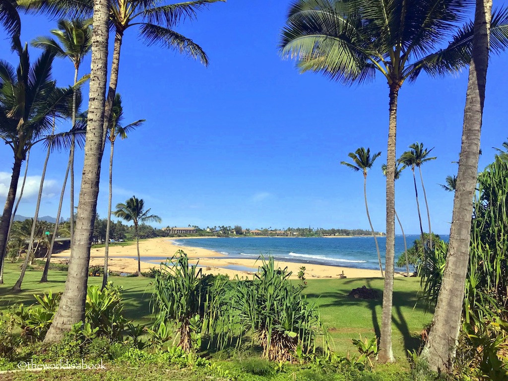 Kauai with kids