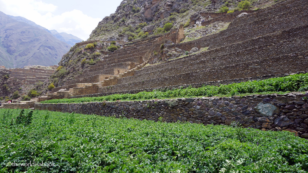 Ollantaytambo Agricultural sector