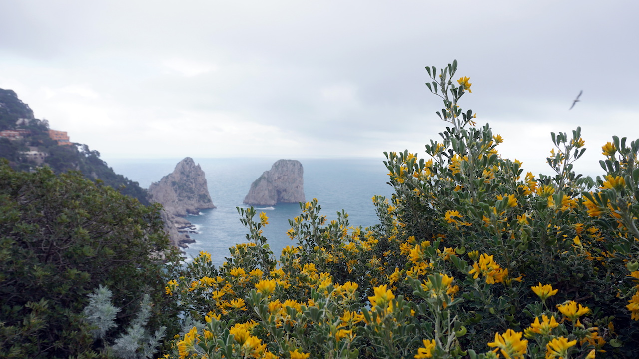 Capri faraglioni 