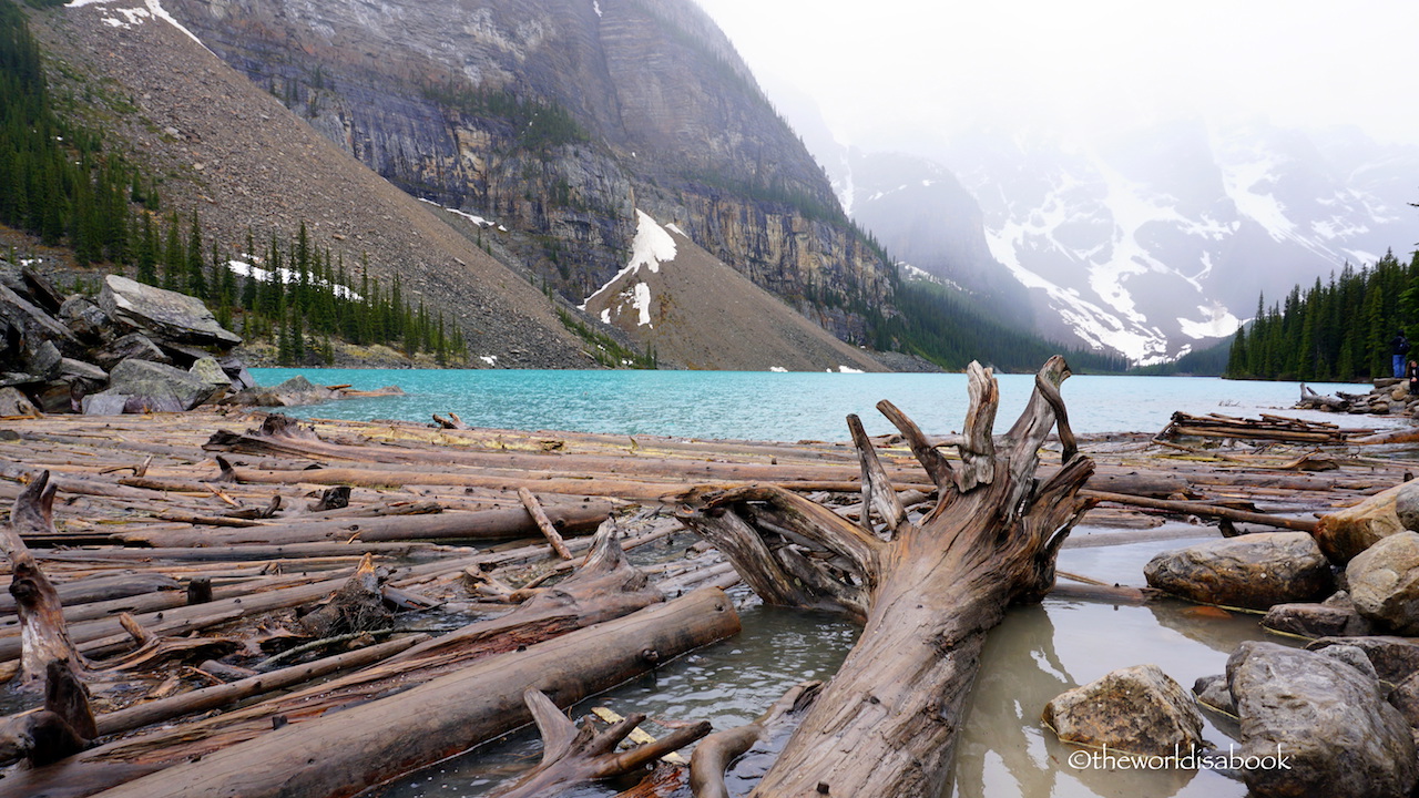 Moraine Lake logs