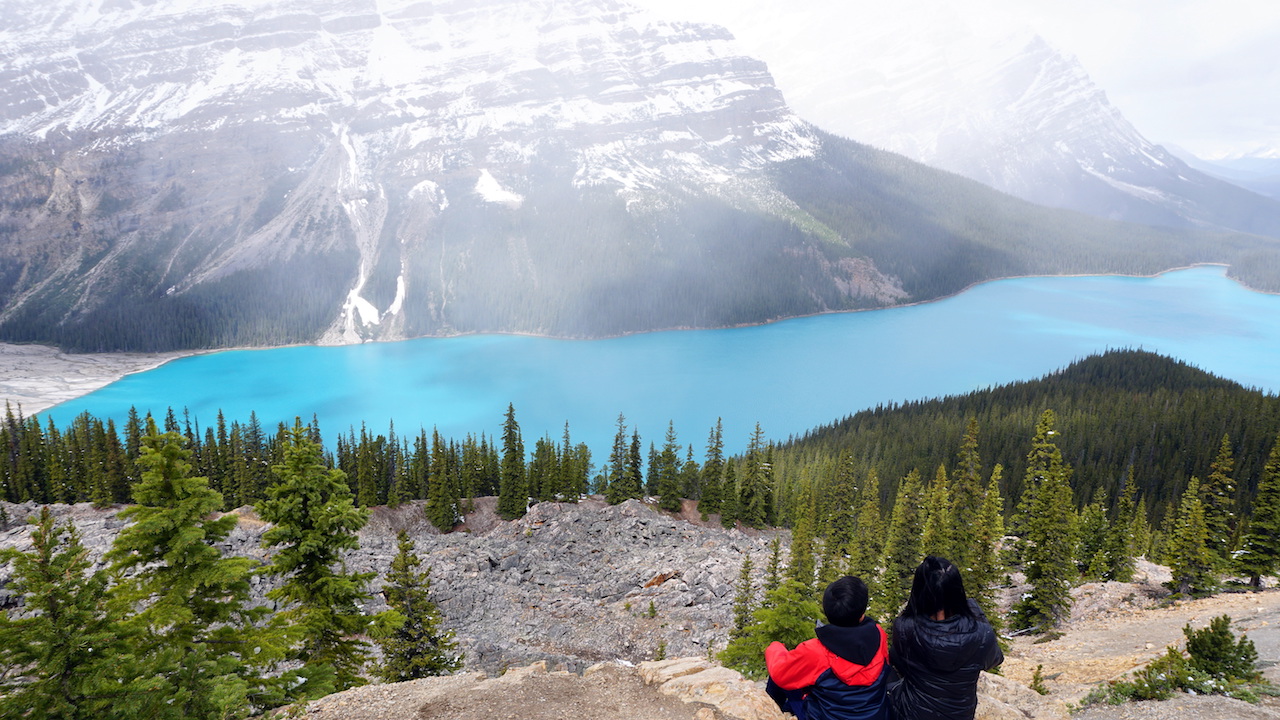 Peyto Lake with Kids