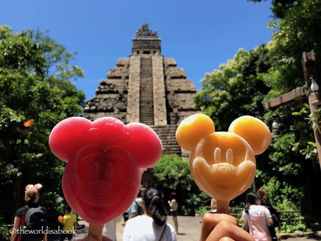Tokyo DisneySea Ice Cream