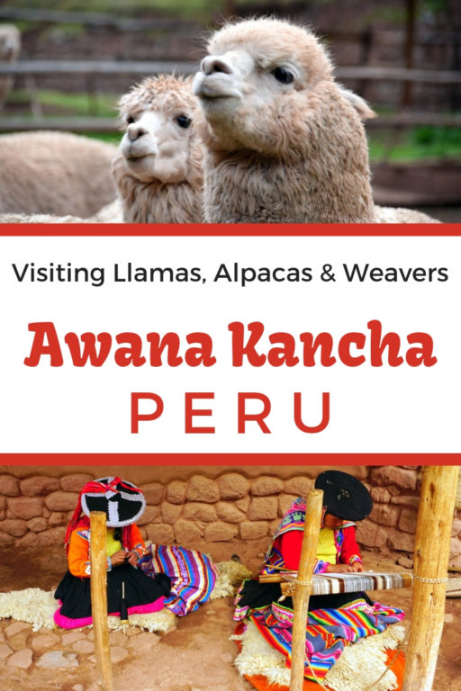 Awana kancha Peru