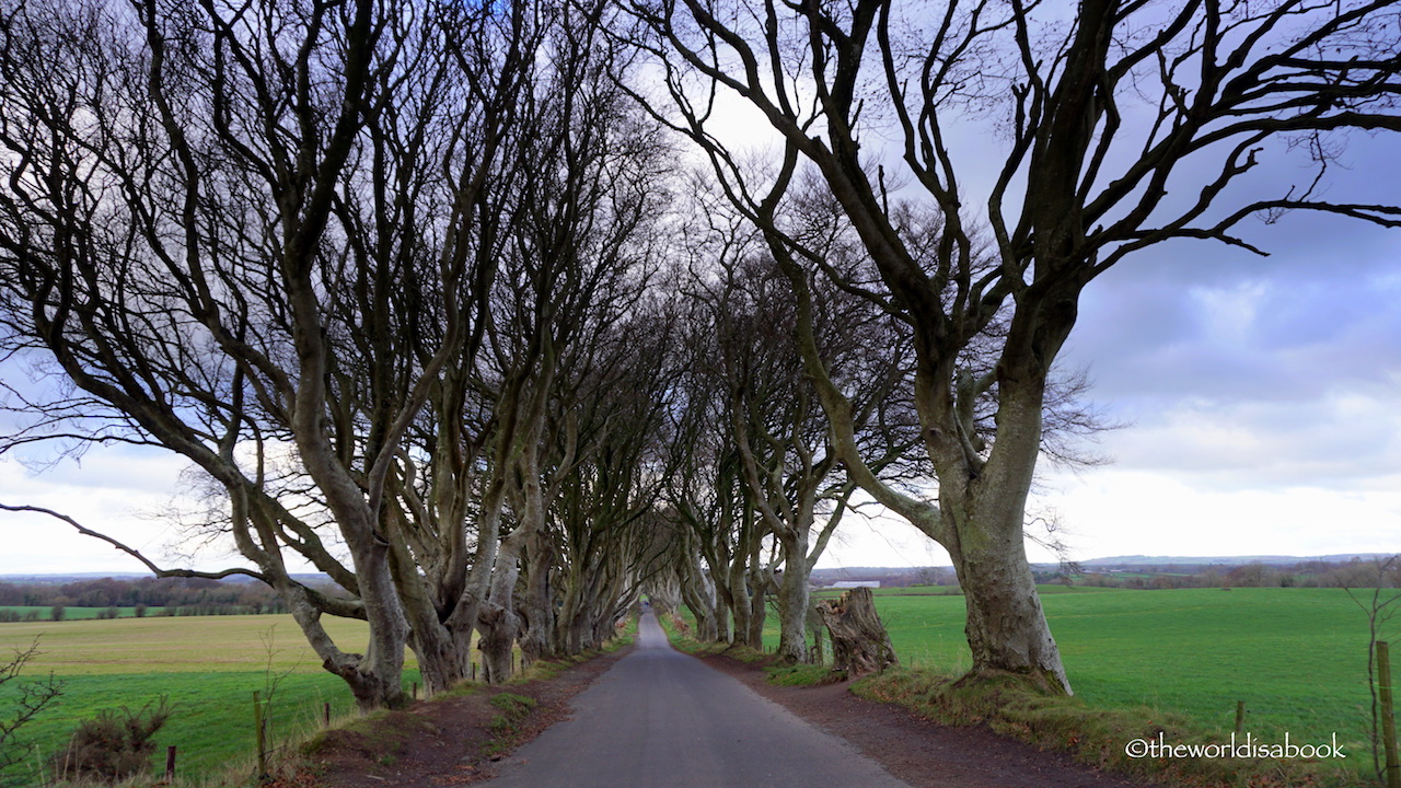 Dark Hedges Northern Ireland