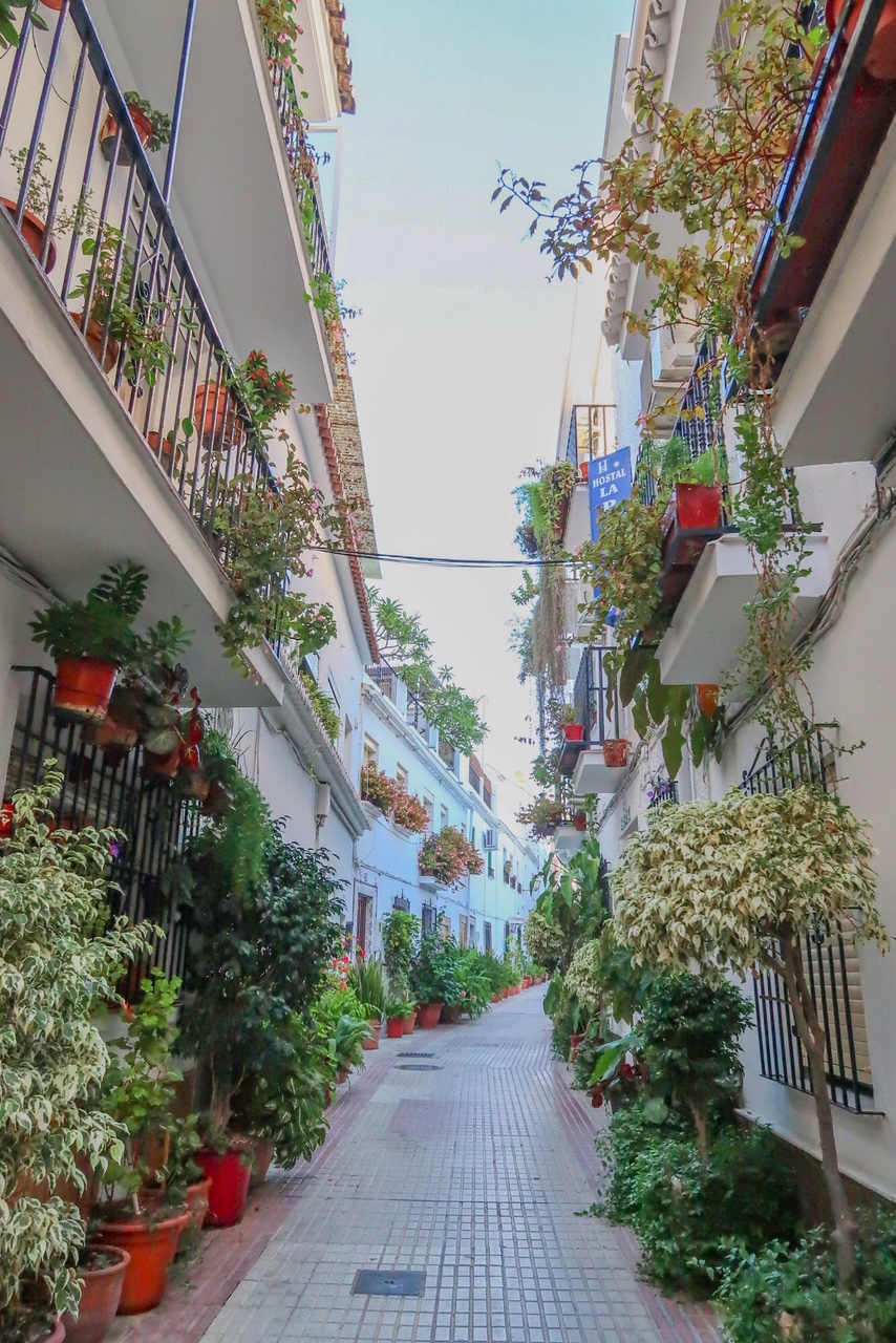 Where to Eat, Stay, and Play in Marbella's Old Town