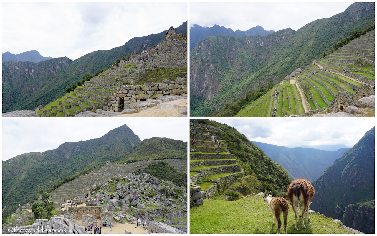 Machu Picchu terraces