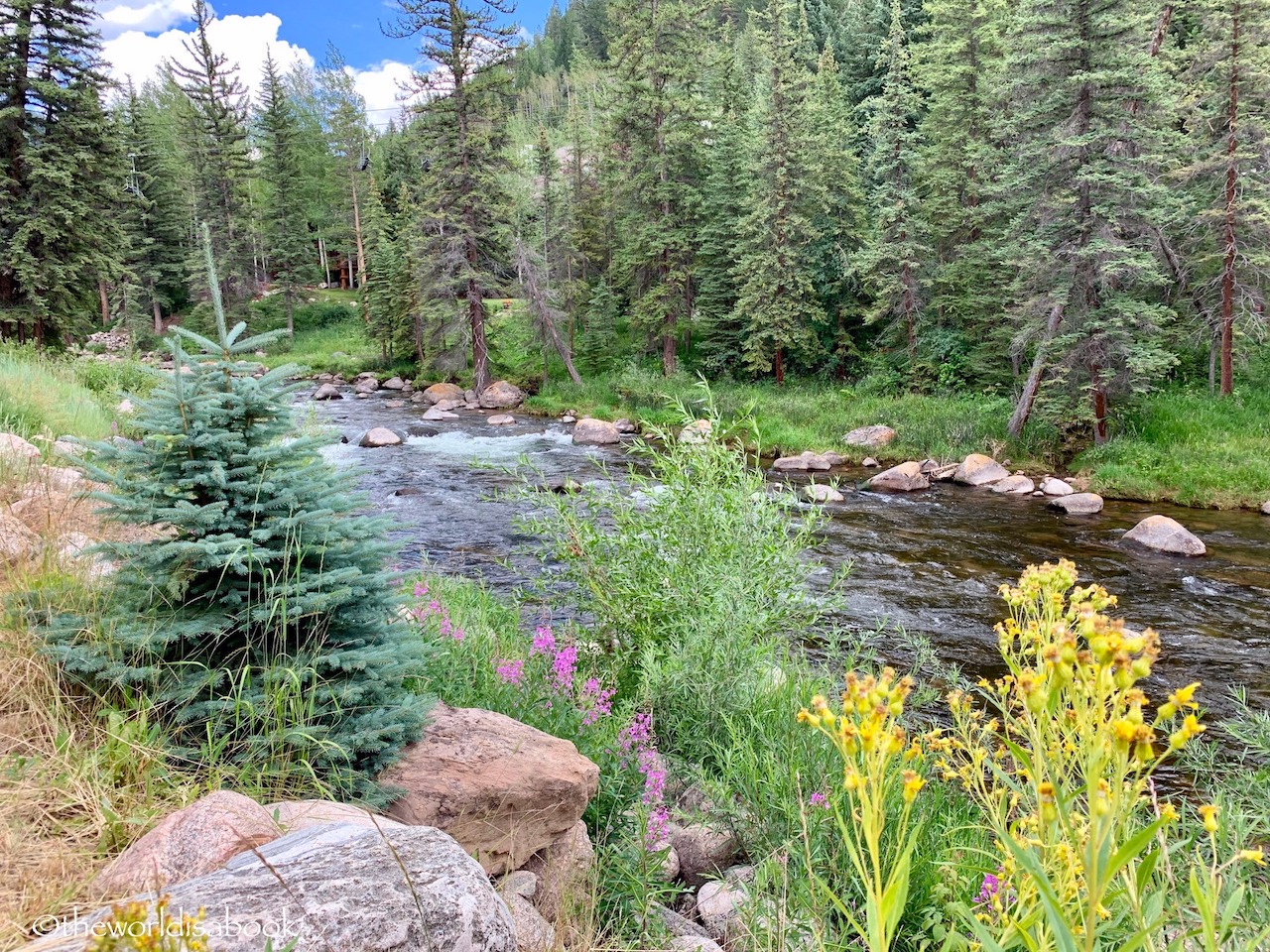 Gore Creek Trail