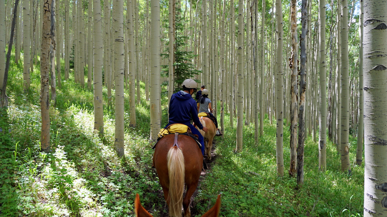 Horseback riding Vail
