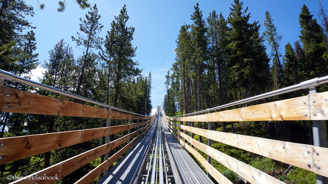 Vail Mountain coaster