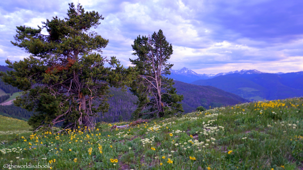 Vail Mountain