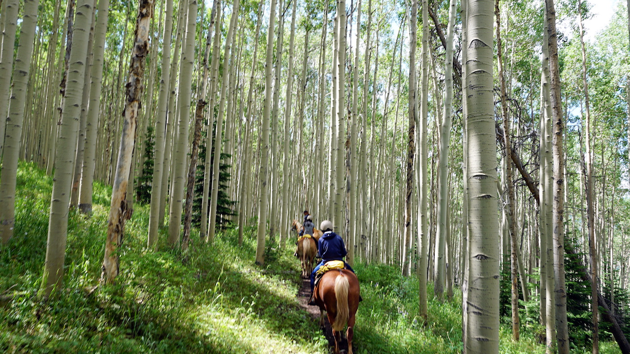 Vail Stables Horseback riding