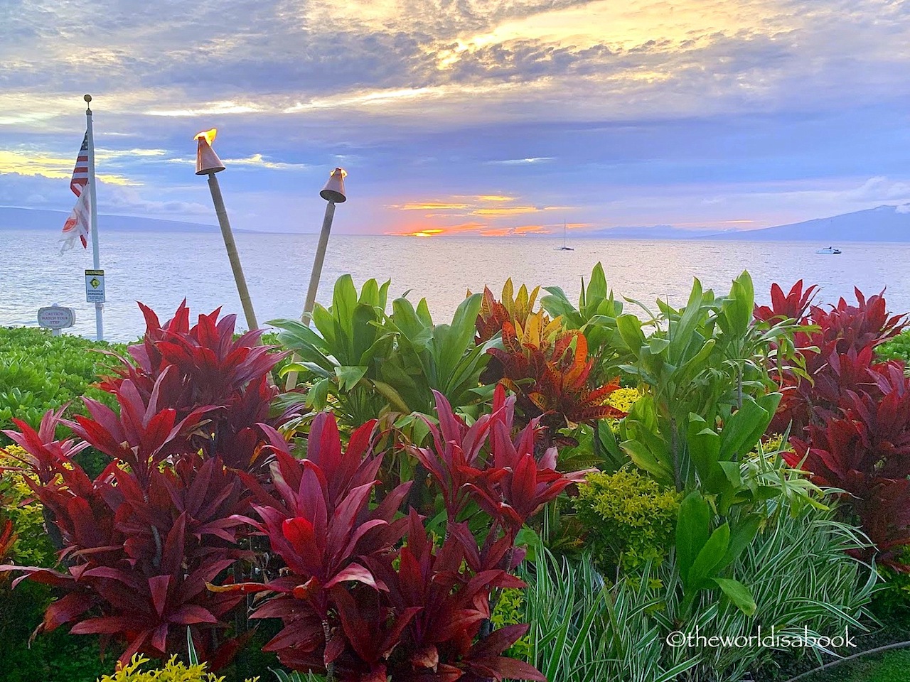 Maui flowers