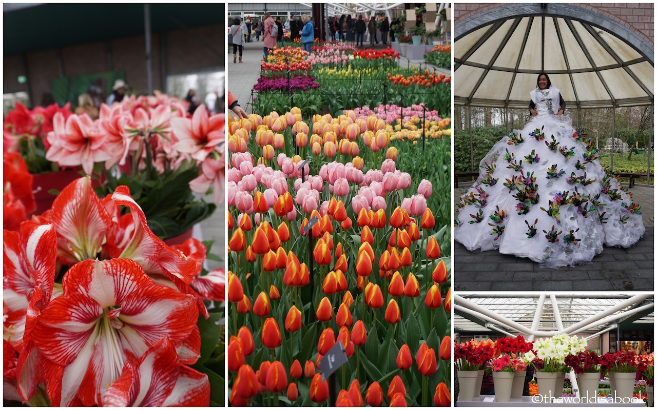 Keukenhof Flower Pavilion