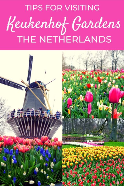 Keukenhof Gardens