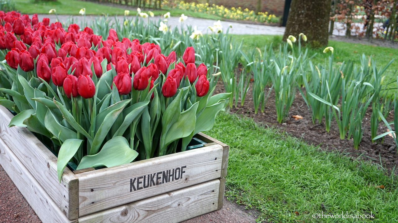 Visiting Keukenhof Gardens The Netherlands The World Is A Book