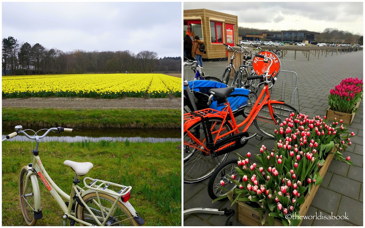 Keukenhof bike rental