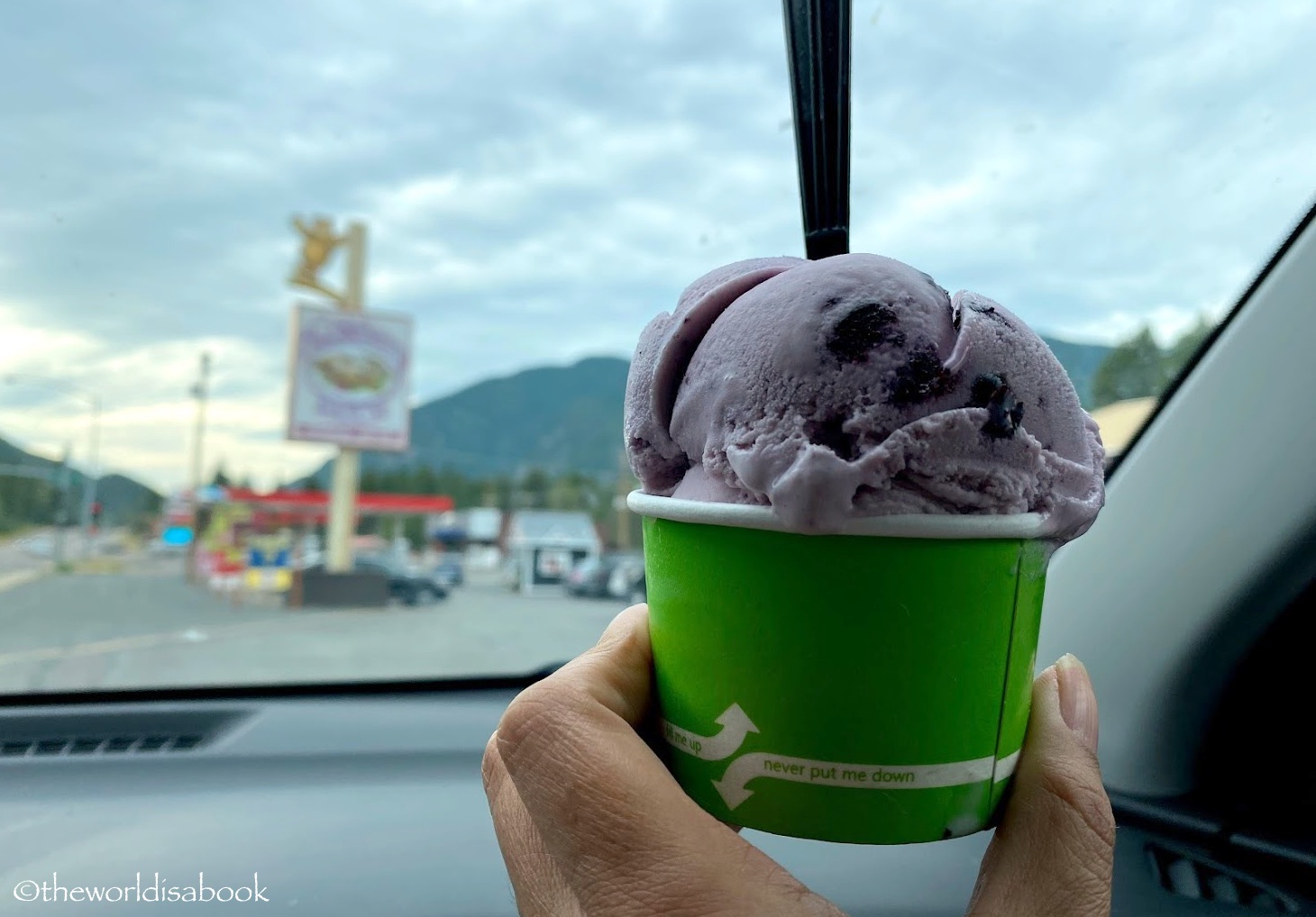 Huckleberry ice cream Montana