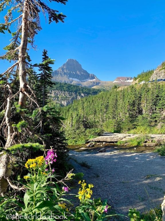 Lunch Creek Glacier National Park