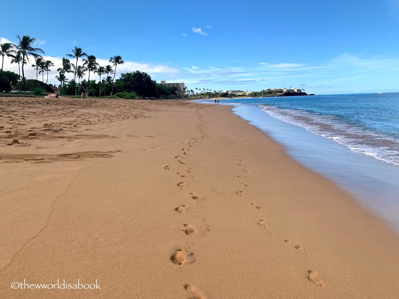 Kaanapali Beach Maui