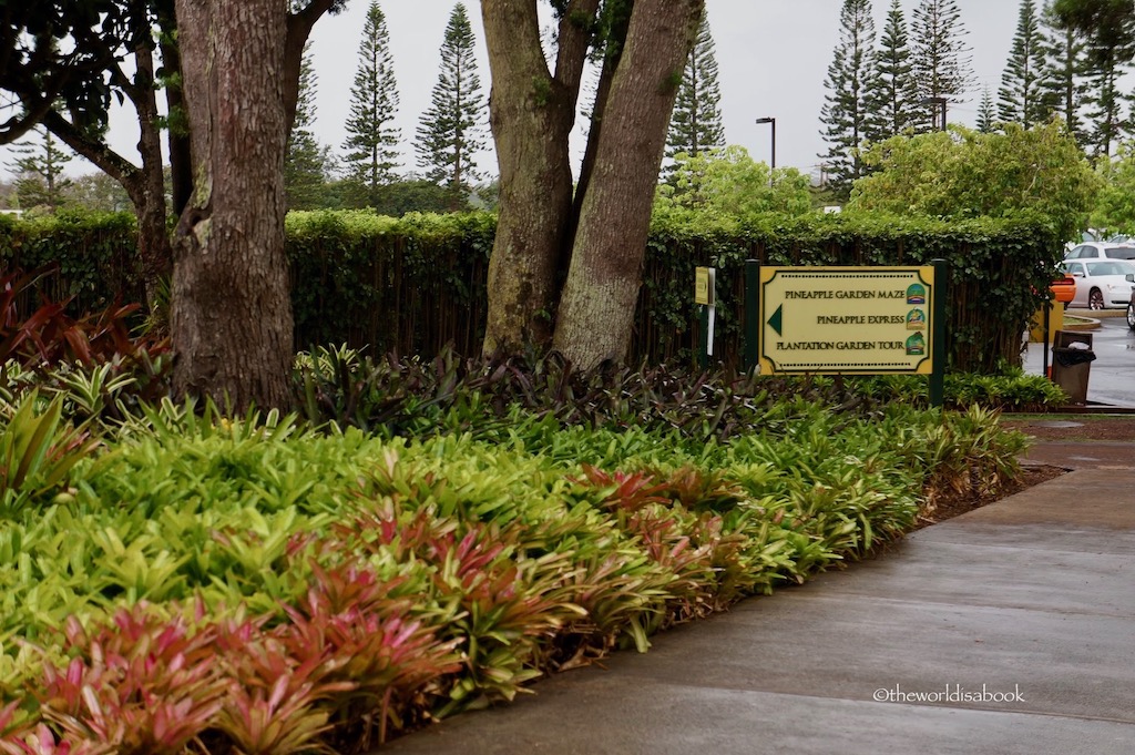 Oahu Dole Plantation