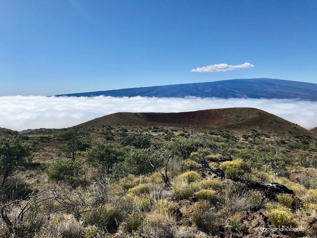 Mauna Kea hawaii 