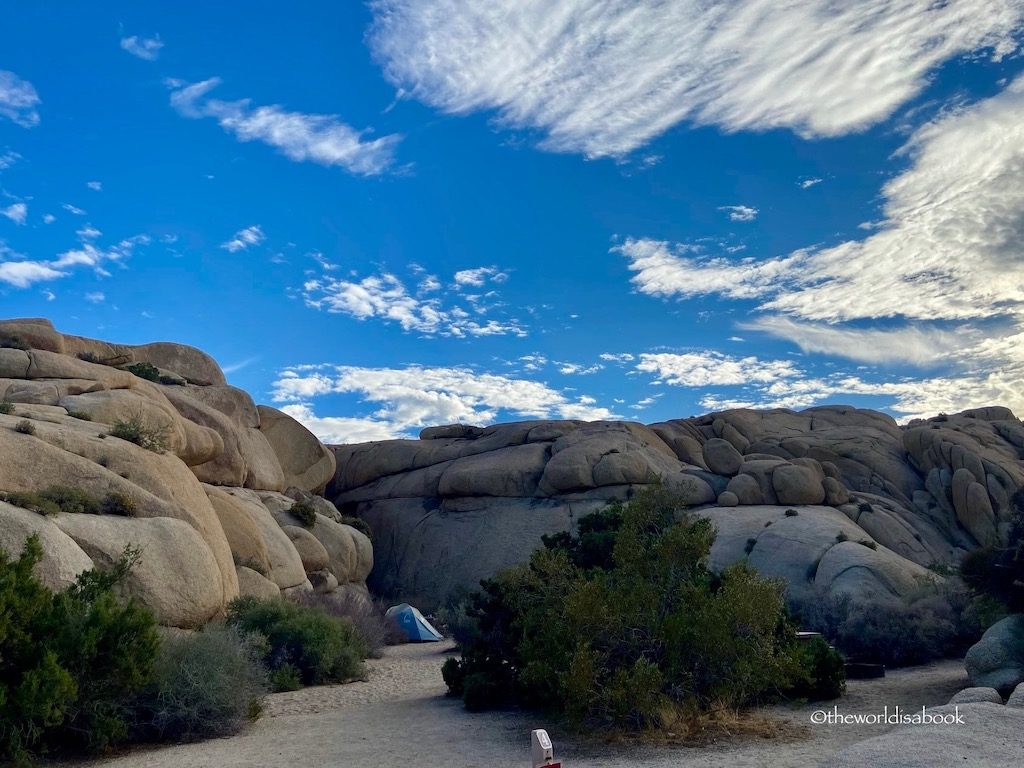 Joshua Tree National Park Camping