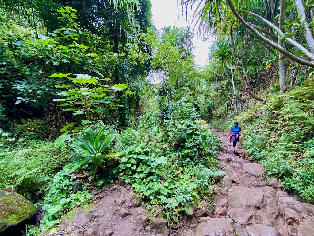 Kalalau Trail path