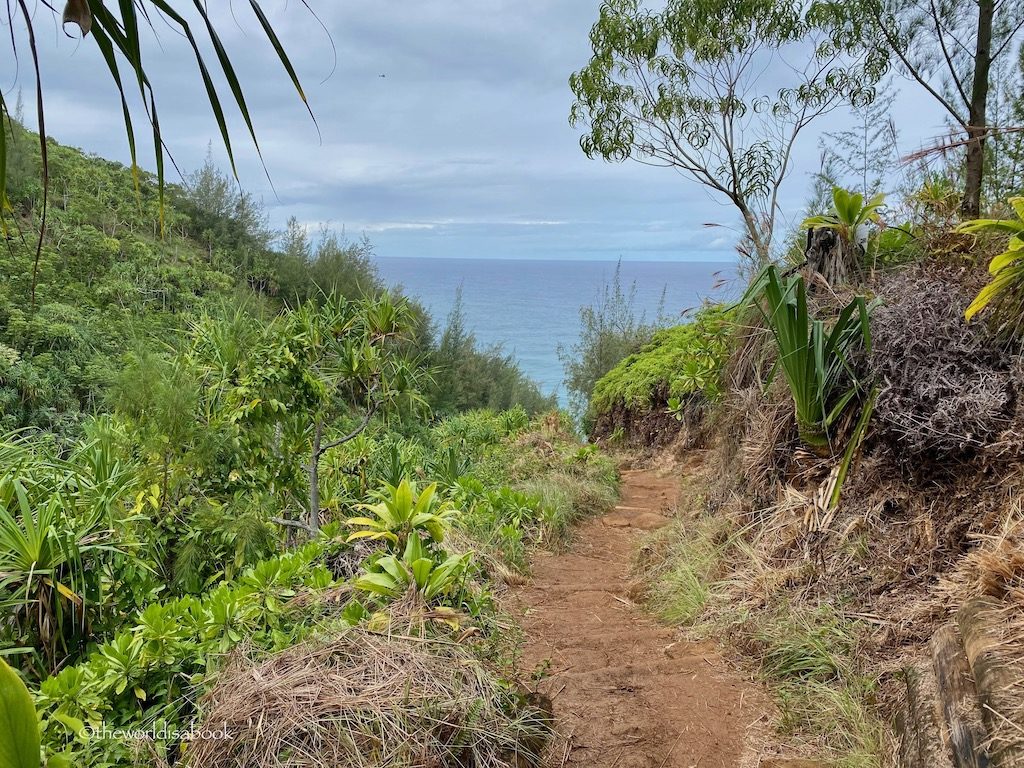 Kalalau Trail path Kauai