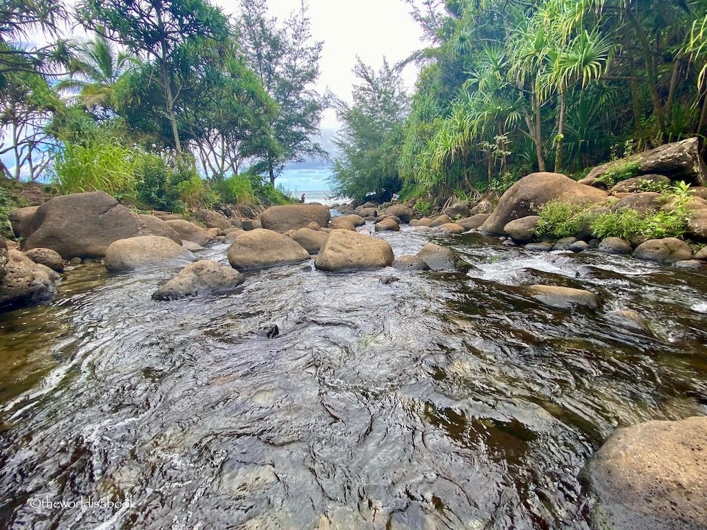 Kalalau Trail stream
